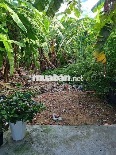 BÁN ĐẤT THỔ CƯ 123M2 GẦN THẠNH XUÂN 23 30M.