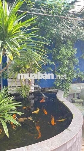105m2👉3.750 ty ngay thị trấn Hóc Môn