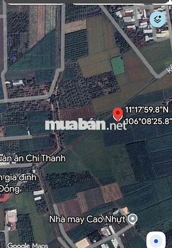 5 công 4 đất, mặt tiền nhiều, chỉ 550 triệu 1 công