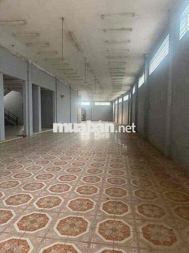 Cho thuê mặt bằng đường CMT8, Thủ Dầu Một  - Diện tích đất : 1000m2,