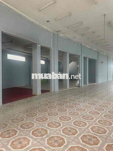Cho thuê mặt bằng đường CMT8, Thủ Dầu Một  - Diện tích đất : 1000m2,