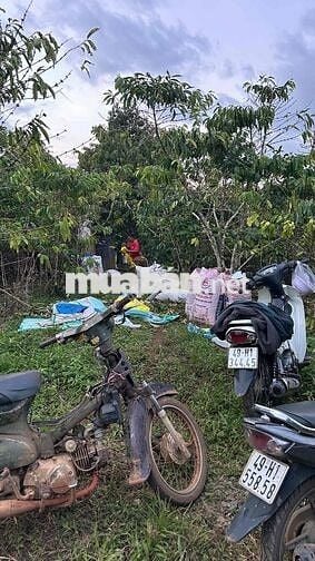 Hàng F0 150m2 full thổ cư, thôn B'Dor, xã Lộc An