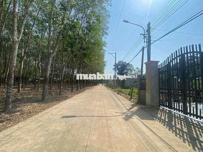 Bán đất ngang lớn 30x36 sổ hồng sẵn