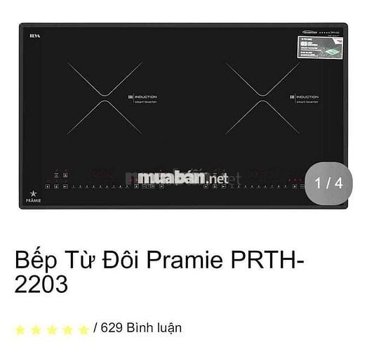 Chính chủ cho thuê căn hộ PNTechcons  3PN