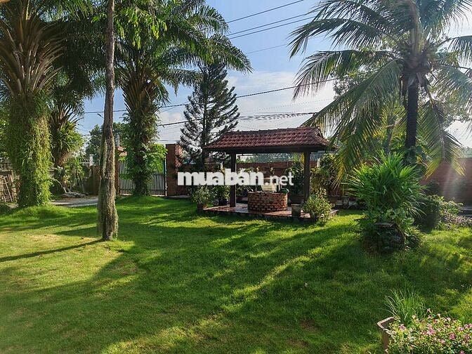 Cho thuê biệt thự sân vườn 2.000m² – Resort giữa lòng Tân Triều