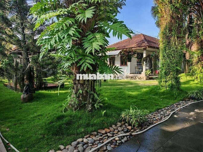Cho thuê biệt thự sân vườn 2.000m² – Resort giữa lòng Tân Triều