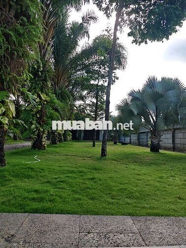 Cho thuê biệt thự sân vườn 2.000m² – Resort giữa lòng Tân Triều