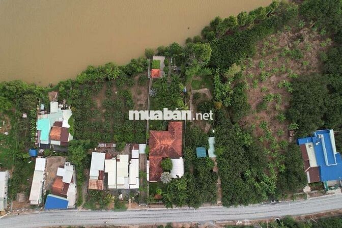 Cho thuê biệt thự sân vườn 2.000m² – Resort giữa lòng Tân Triều
