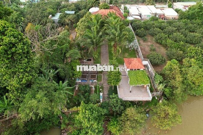 Cho thuê biệt thự sân vườn 2.000m² – Resort giữa lòng Tân Triều