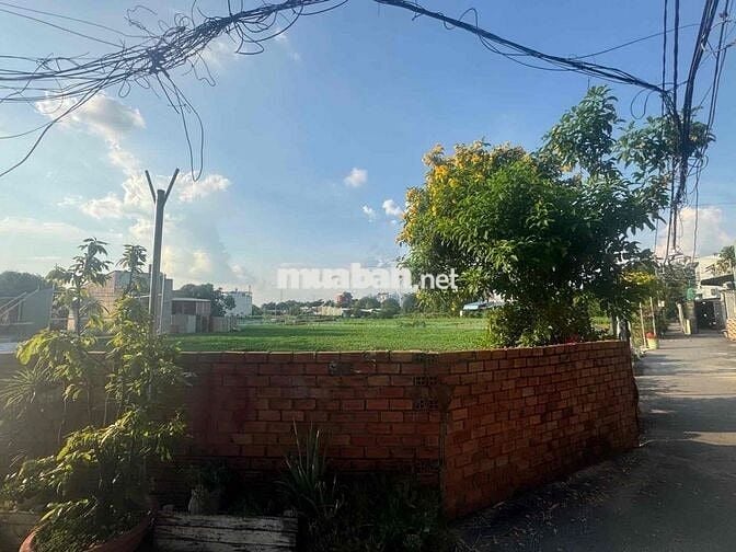 Đất Nở Hậu 57m2-HXH-Khu Bờ Kè Mở Rộng Đầy Tiềm Năng