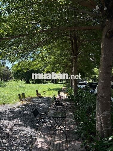 ☕ CÀ PHÊ 17 MAI CHÍ THỌ CẦN TÌM ANH/CHỊ PHỤ QUÁN