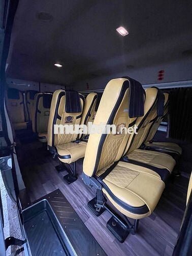 Ford Transit 2023 Trắng 155054 km