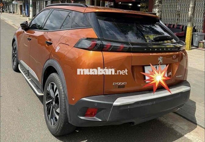 Peugeot 2008 2021 Cam