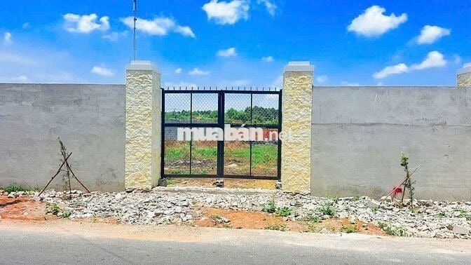 IÊU PHẨM PHƯỚC HẢI – HƠN 1100m² CHỈ 1 TỶ 550 (SẴN GẦN 900m² THỔ CƯ)