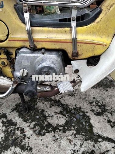 Honda Chaly  81-50cc.đèn vuông xe zin. bstphcm