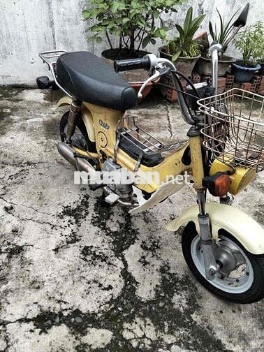 Honda Chaly  81-50cc.đèn vuông xe zin. bstphcm