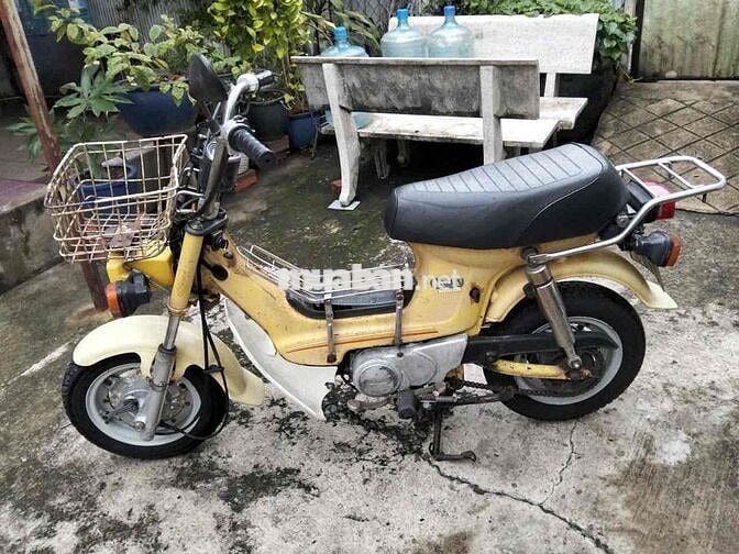 Honda Chaly  81-50cc.đèn vuông xe zin. bstphcm