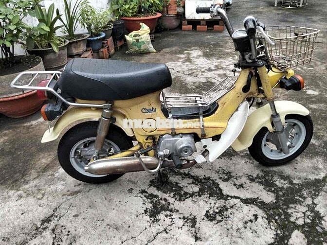 Honda Chaly  81-50cc.đèn vuông xe zin. bstphcm