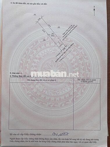🔥 BÁN ĐẤT MẶT TIỀN ĐƯỜNG ĐT741 – LAI UYÊN, BÀU BÀNG, BÌNH DƯƠNG 🔥