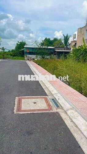 Bán lô đất Tân Tạo Bình Tân 4m x 12,5m SHR full thổ cư Quận Bình Tân 
