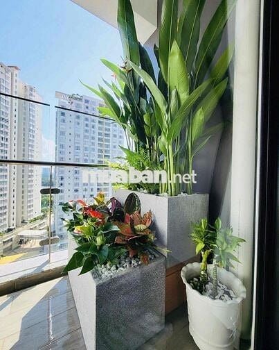 🏡 CHO THUÊ CĂN HỘ ANTONIA – PHÚ MỸ HƯNG, QUẬN 7