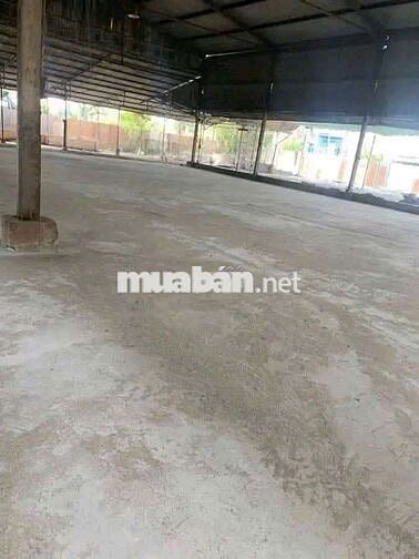 Cho Thuê 2000m. giá 55tr /1 tháng Đường Quách Điêu Vĩnh Lộc A