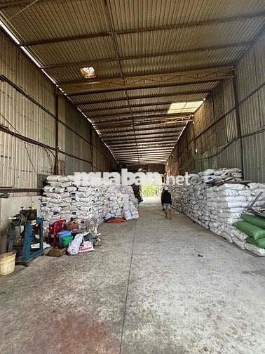 cho thuê nhà xưởng kênh trung ương sản xuất đa nghề trần cao điện 3pha