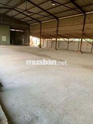 Cho Thuê 2000m. giá 55tr /1 tháng Đường Quách Điêu Vĩnh Lộc A