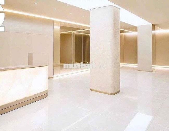 Cho thuê nhà nguyên căn mặt tiền đường Nguyễn Trãi, Quận 5 – tuyến phố