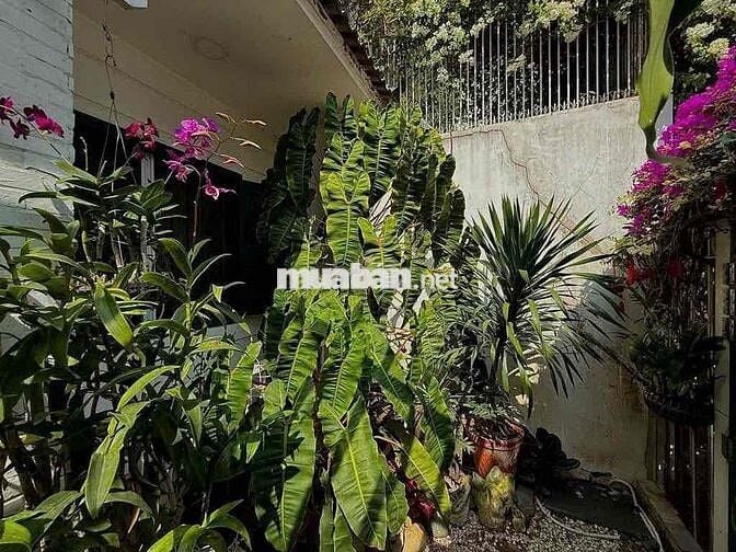 BIỆT THỰ SÂN VƯỜN VEN SÔNG – VẠN PHÁT HƯNG, Q.7, 15x17, CHỈ 45 TỶ.