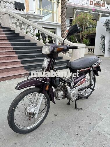 Honda Dream Thái Lan Tím Sơn zin
