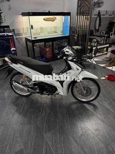 fuled dọn kiểng đồ xịn