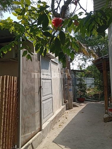 Cho thuê nhà giá rẻ hẻm 2056 Nhà Bè 70m2 