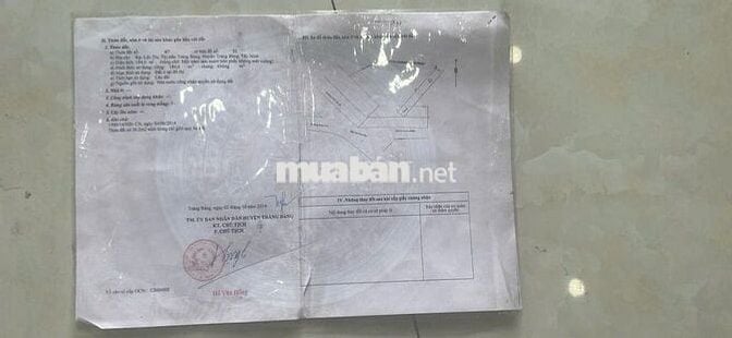 🔥 CHÍNH CHỦ BÁN ĐẤT MẶT TIỀN QUỐC LỘ 22 – PHƯỜNG TRẢNG BÀNG, TÂY NINH🔥