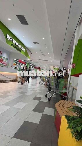 cần tuyển dụng xe máy giao hàng