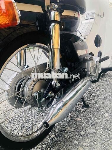 Honda Cup 50 Đèn vuông Trắng, Xanh