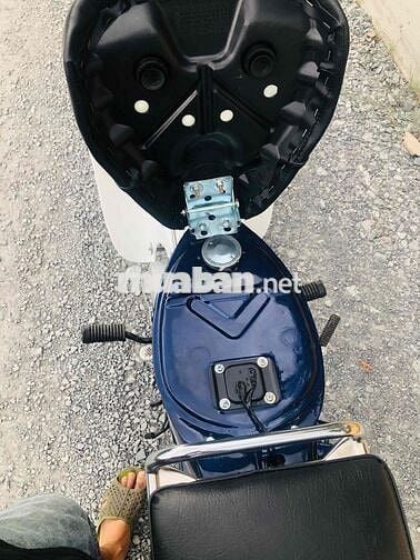 Honda Cup 50 Đèn vuông Trắng, Xanh