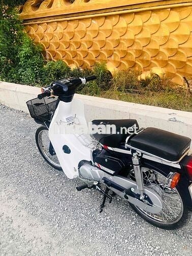 Honda Cup 50 Đèn vuông Trắng, Xanh