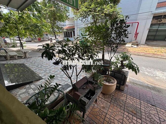 CHÍNH CHỦ GIẢM GIÁ TRỰC TIẾP CHO ACE MUA Ở