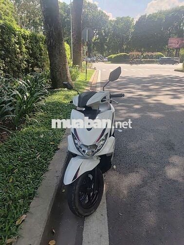 Yamaha Freego 125 2022 Trắng 37.000 km