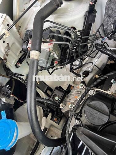 Suzuki Celerio CVT 2019 Trắng Tự động 60.000 km