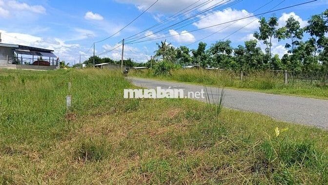  Chính chủ bán 4 lô đất liền kề, có thổ cư, đường nhựa