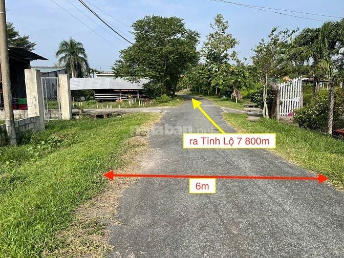 Bán đất xã Thái Mỹ Củ Chi. Diện tích 1145m2 thổ cư 65m2. Giá 3.6 tỷ