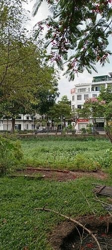 Nhà Biệt thự Q2, khu siêu giàu 