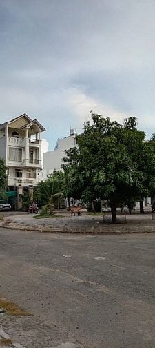 Nhà Biệt thự Q2, khu siêu giàu 