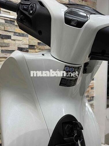 Honda SH 125 2025 Trắng