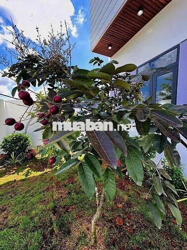 NHÀ CĂN GÓC 2 MẶT TIỀN 185M2 ĐẤT Ở - NỞ HẬU TÀI LỘC 18M CẦN GIUỘC,