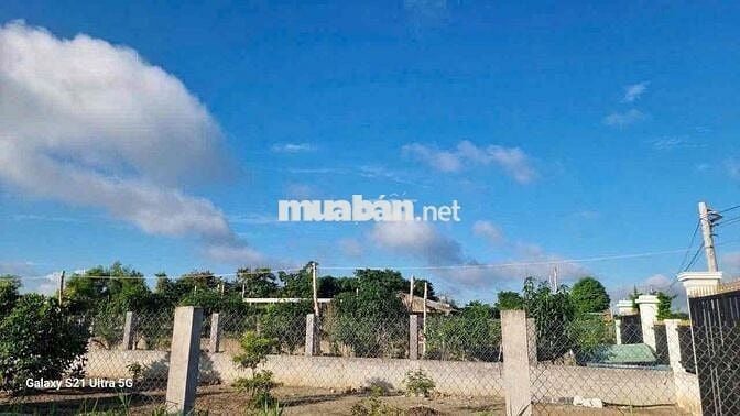Bán đất vườn 500m2 nở hậu đường ô tô 7m xã Mỹ Lộc Cần Giuộc giá 3 tỷ