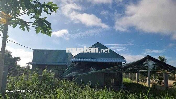 Bán đất vườn 500m2 nở hậu đường ô tô 7m xã Mỹ Lộc Cần Giuộc giá 3 tỷ