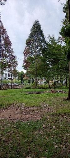 Nhà Biệt thự Q2, khu siêu giàu 